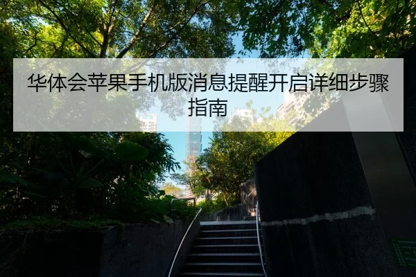 华体会苹果手机版消息提醒开启详细步骤指南