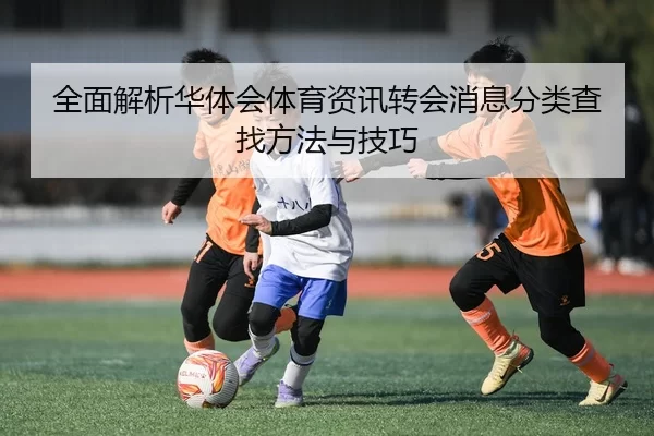 全面解析华体会体育资讯转会消息分类查找方法与技巧