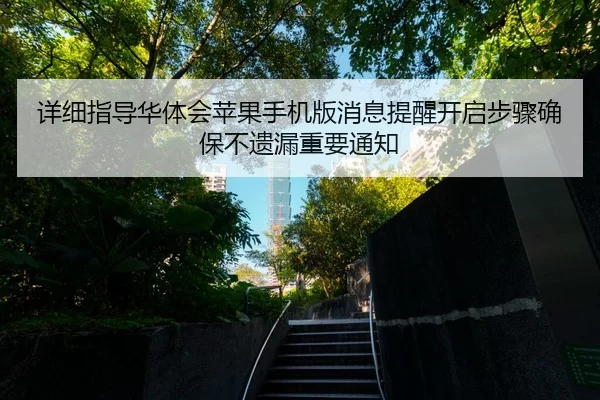 详细指导华体会苹果手机版消息提醒开启步骤确保不遗漏重要通知