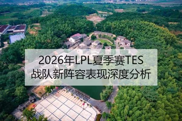 2026年LPL夏季赛TES战队新阵容表现深度分析