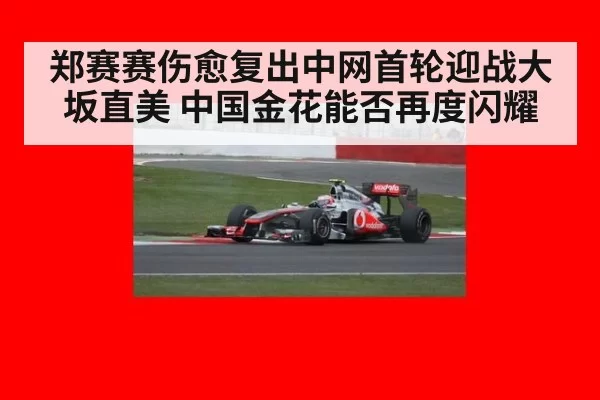 郑赛赛伤愈复出中网首轮迎战大坂直美 中国金花能否再度闪耀