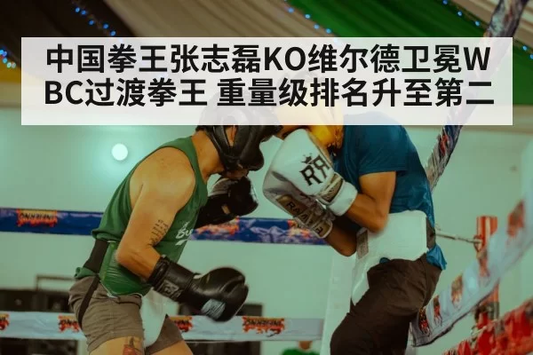 中国拳王张志磊KO维尔德卫冕WBC过渡拳王 重量级排名升至第二