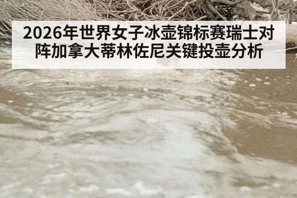 2026年世界女子冰壶锦标赛瑞士对阵加拿大蒂林佐尼关键投壶分析