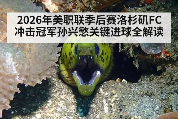 2026年美职联季后赛洛杉矶FC冲击冠军孙兴慜关键进球全解读